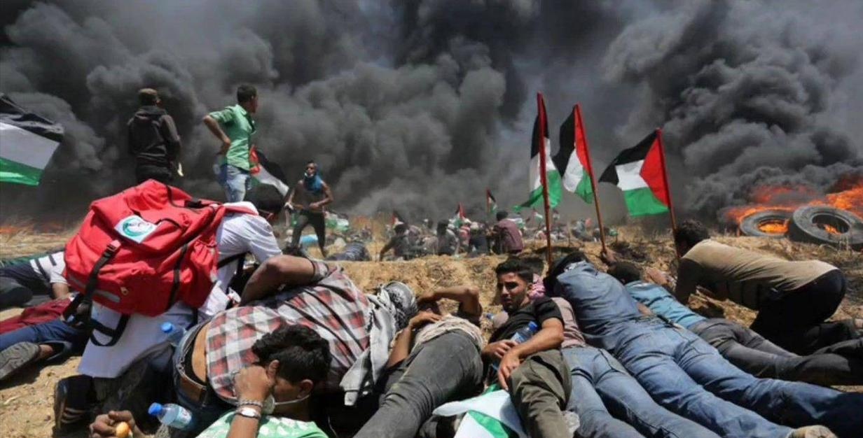 关于沙特阿拉伯杯赛一触即发，伊朗势不可挡进入四强的信息