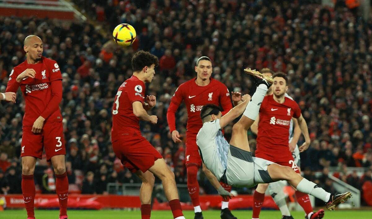 关于狼队主场告捷,保持不败势头的信息 关于狼队主场告捷,保持不败势头的信息