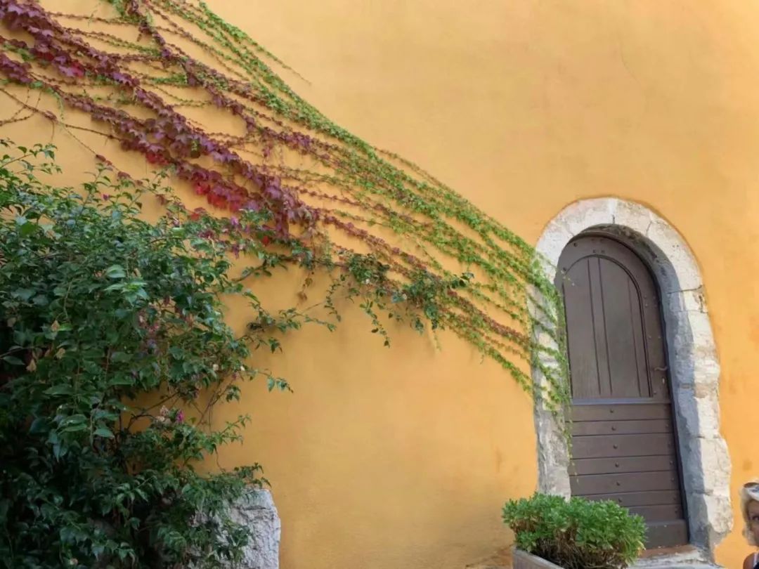 摩纳哥客场告捷,欧洲之路铺展开来 摩纳哥客场告捷,欧洲之路铺展开来