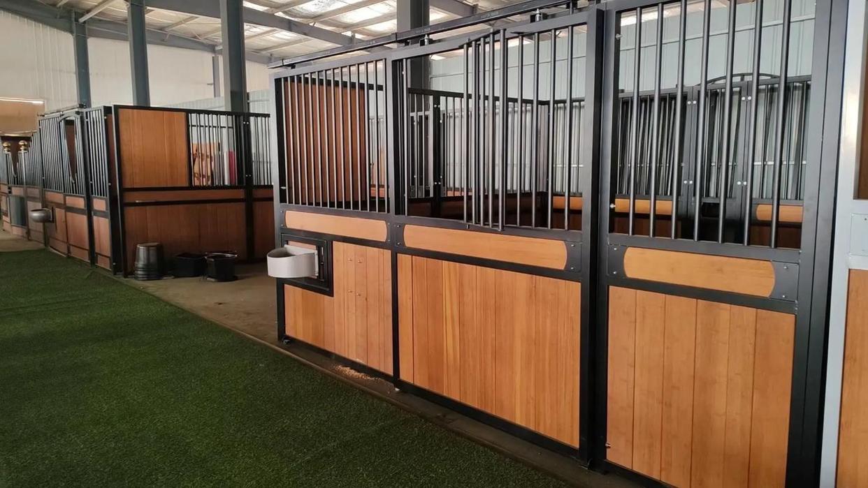 汉诺威艰难取胜，或许能为下一阶段角逐积分奠定基础