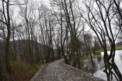 波黑憾负黑山，晋级前景暗淡
