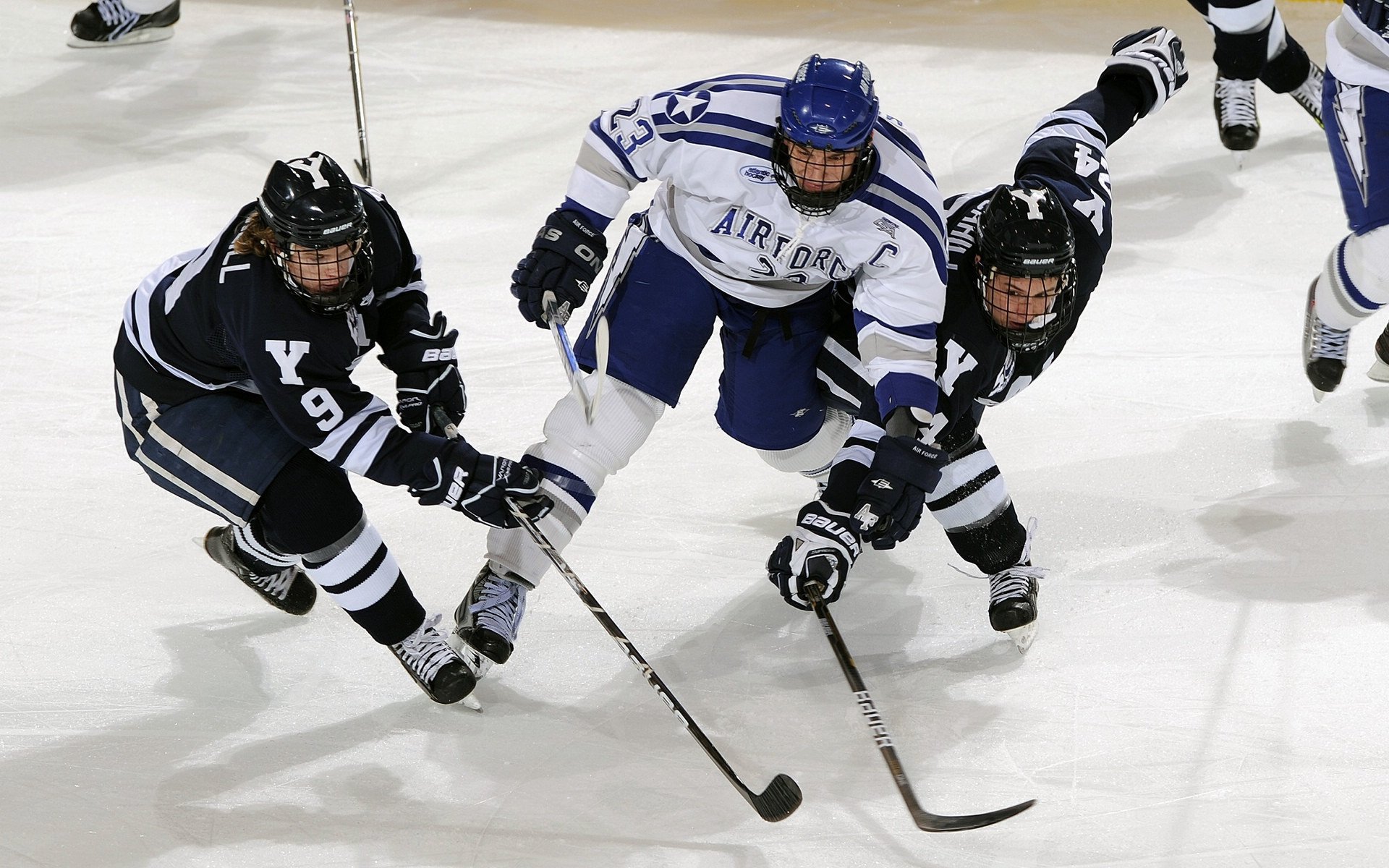 血性燃烧,当森林狼王的节奏魔法,注入辽宁的钢铁洪流