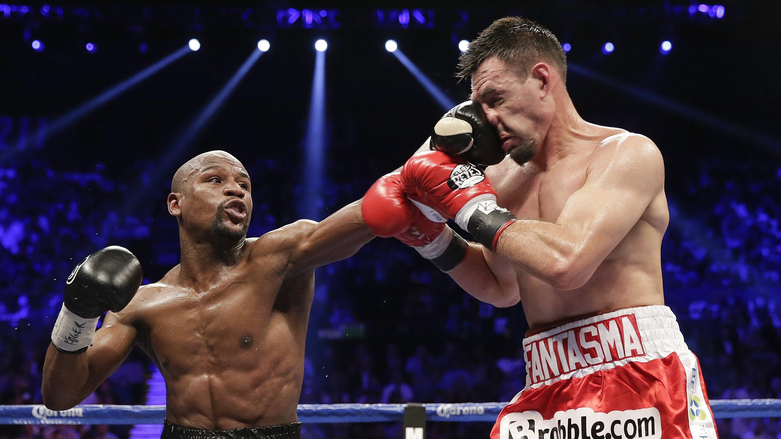 新浪潮淹没落日，鹈鹕的青春风暴与莫兰特划破苍穹的咆哮